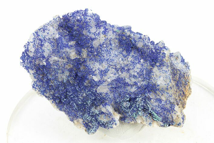 Vibrant Azurite on Quartz Crystals - China #252068